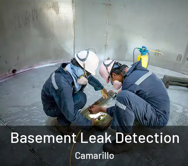  Basement Leak Detection Camarillo