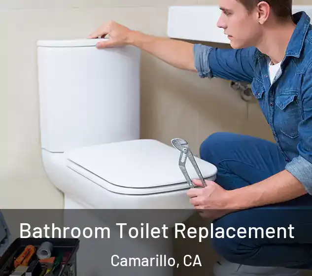  Bathroom Toilet Replacement Camarillo, CA