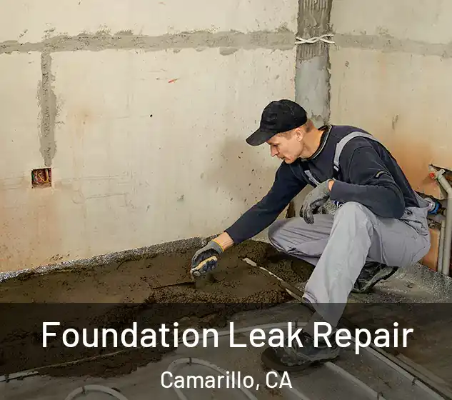  Foundation Leak Repair Camarillo, CA