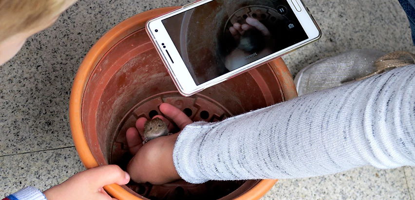 Scope of Drain Camera Inspection Services in Camarillo, CA