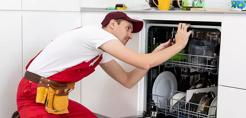 Scope of Kitchen Dishwasher Installation Services in Camarillo, CA