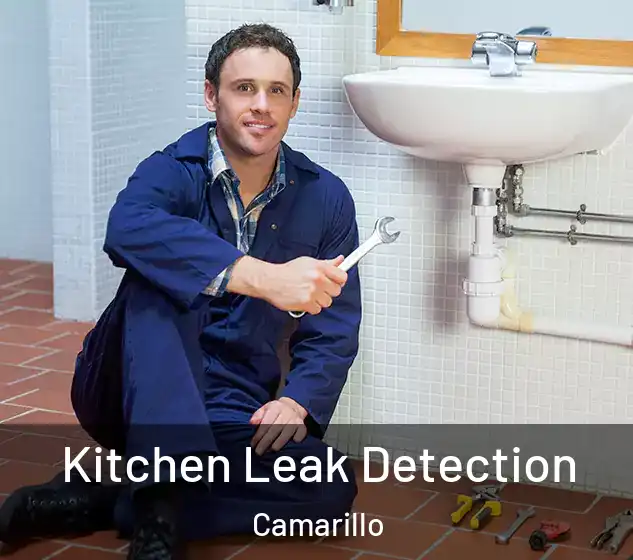  Kitchen Leak Detection Camarillo