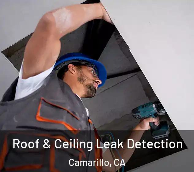  Roof & Ceiling Leak Detection Camarillo, CA
