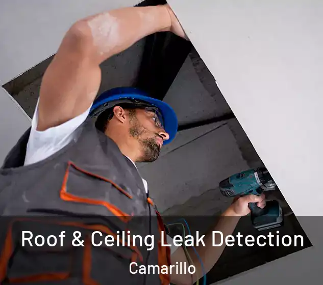  Roof & Ceiling Leak Detection Camarillo
