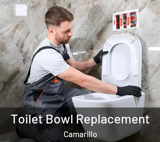  Toilet Bowl Replacement Camarillo
