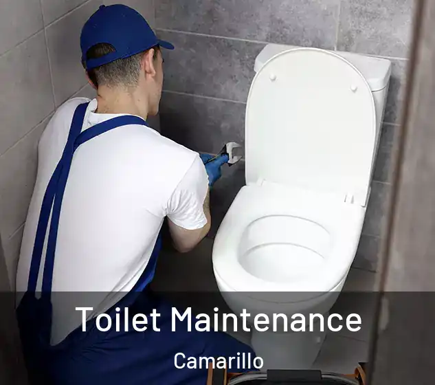  Toilet Maintenance Camarillo