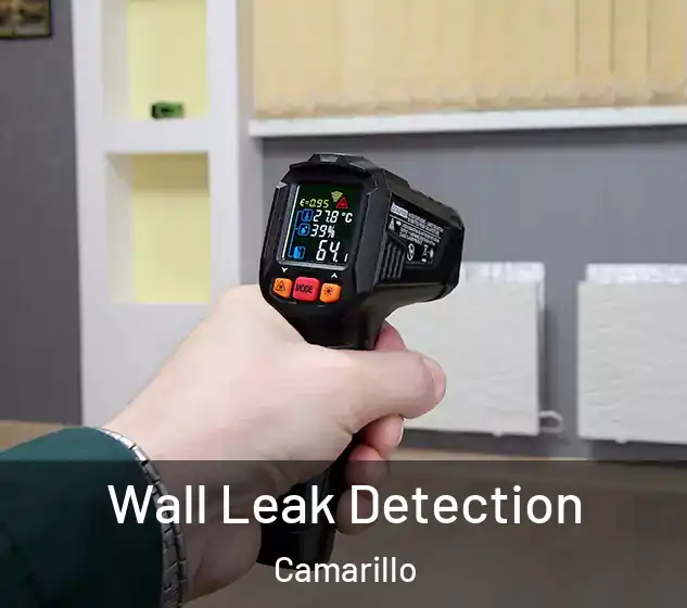  Wall Leak Detection Camarillo